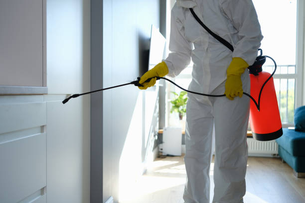 Best Best Mold Removal Companies  in Ashland, OH