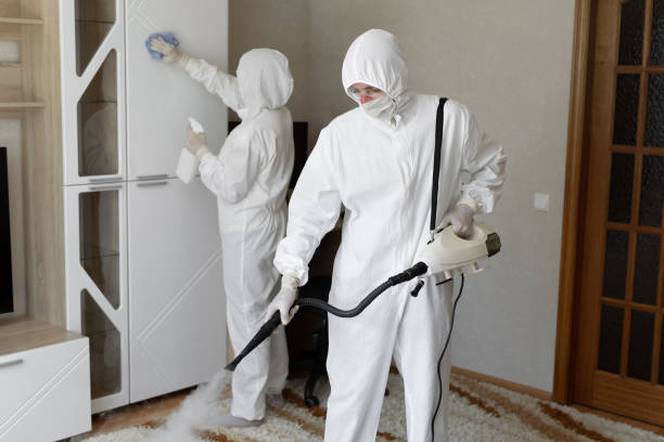 Best Emergency Mold Removal  in Ashland, OH