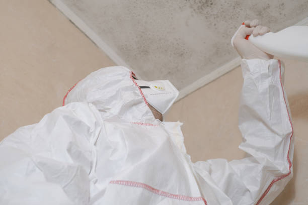 Best Office Mold Removal Services  in Ashland, OH