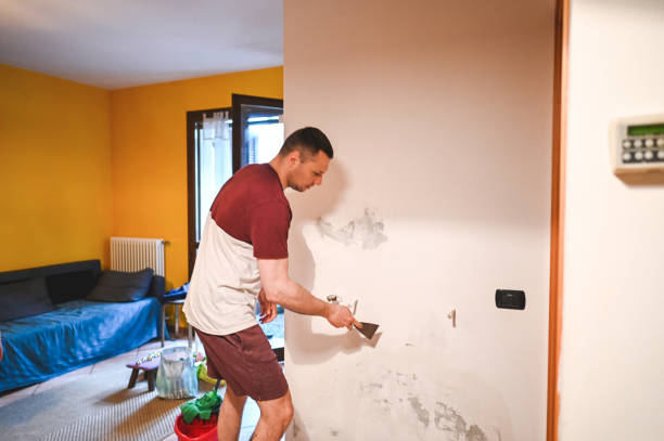 Best Certified Mold Removal  in Ashland, OH